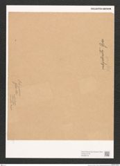 Navicula sp. (de-Toni-Nr.: Genus 1) Zeichnungen Sammlung Grunow (NHMW-BOT-W0368140)